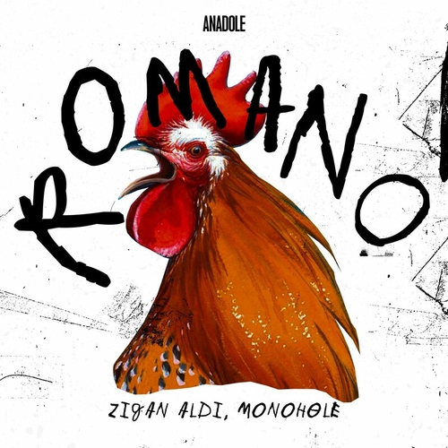 Zigan Aldi & Monohole - Romano [ANDL006]